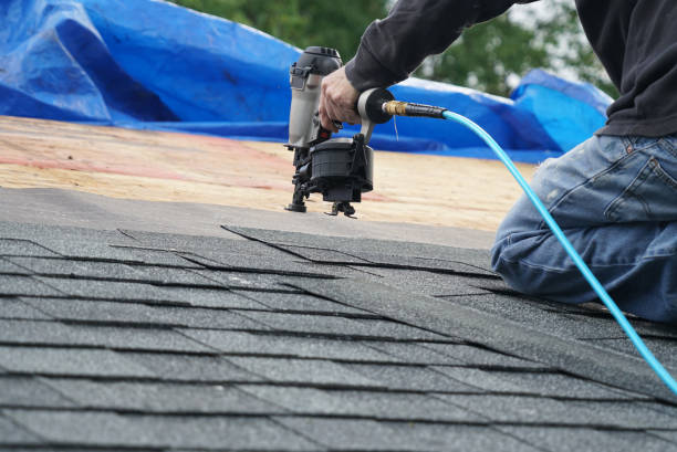 Best Roof Moss and Algae Removal  in Ada, OK